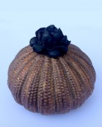 209052 steen urn 350 bloem donker goud met zwart 800